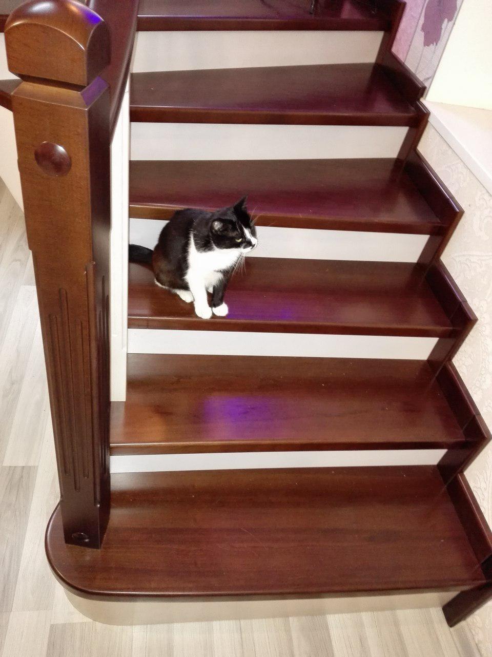 photo_2018-07-27_14-04-16.jpg.optipic-orig